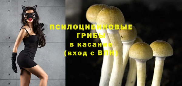 Альфа ПВП Алзамай