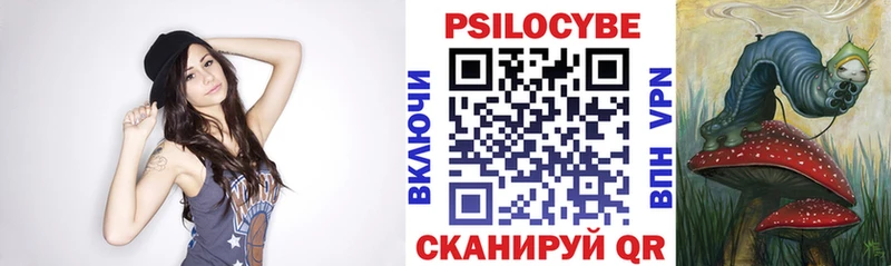 Псилоцибиновые грибы Psilocybe  наркошоп  Тобольск 